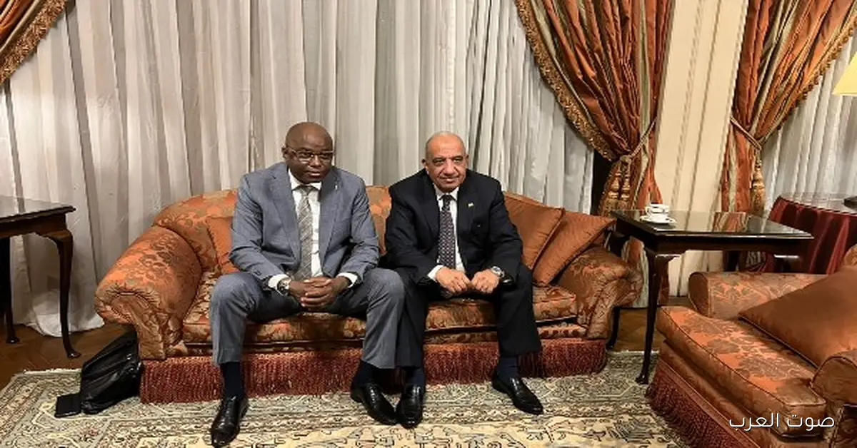 وزير الكهرباء يتكلم مع وزير الكهرباء التشادي عن تطوير التدريب وتبادل الخبرات