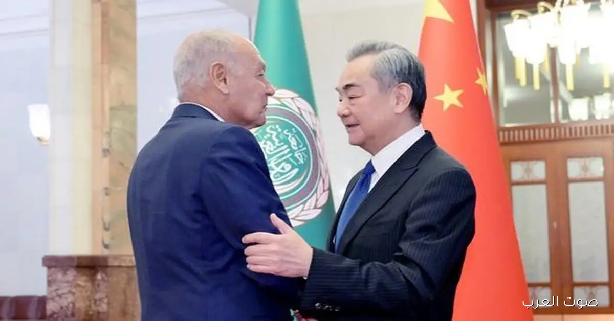 أبو الغيط: العرب مهتمين بـ”مبادرة الحوكمة العالمية” مع وزير الخارجية الصيني