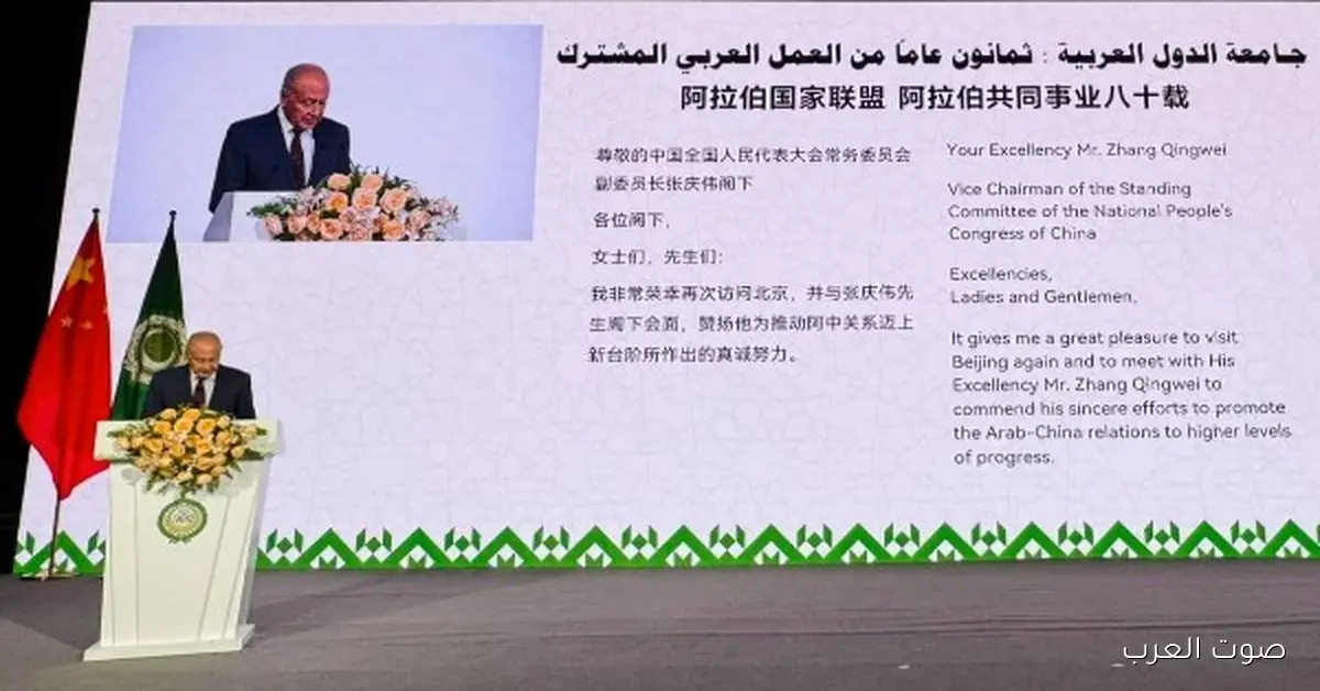 أبو الغيط: جامعة الدول العربية دايمًا حاضنة وبتعبر عن هويتنا العربية