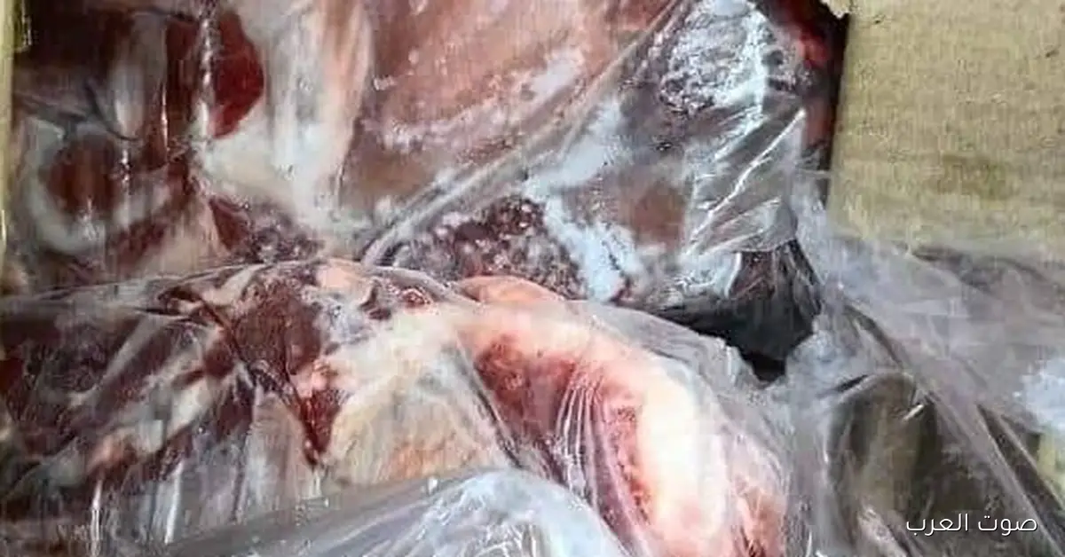 ضربة قوية من الرقابة.. ضبط 74 طن لحوم صالحة للأكل قبل ما تنزل الأسواق