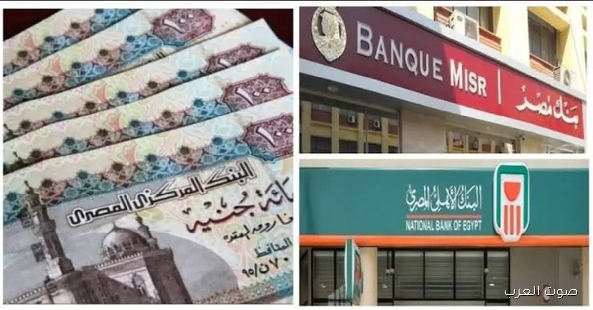 قبل قرار البنك المركزي بكرة.. تعرف على شهادات البنك الأهلي ومصر 2025