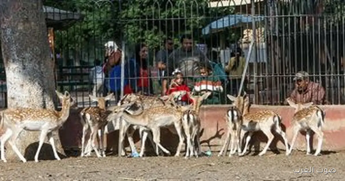موعد فتح حديقة الحيوان بالجيزة بعد تطويرها وربطها بحديقة الأورمان