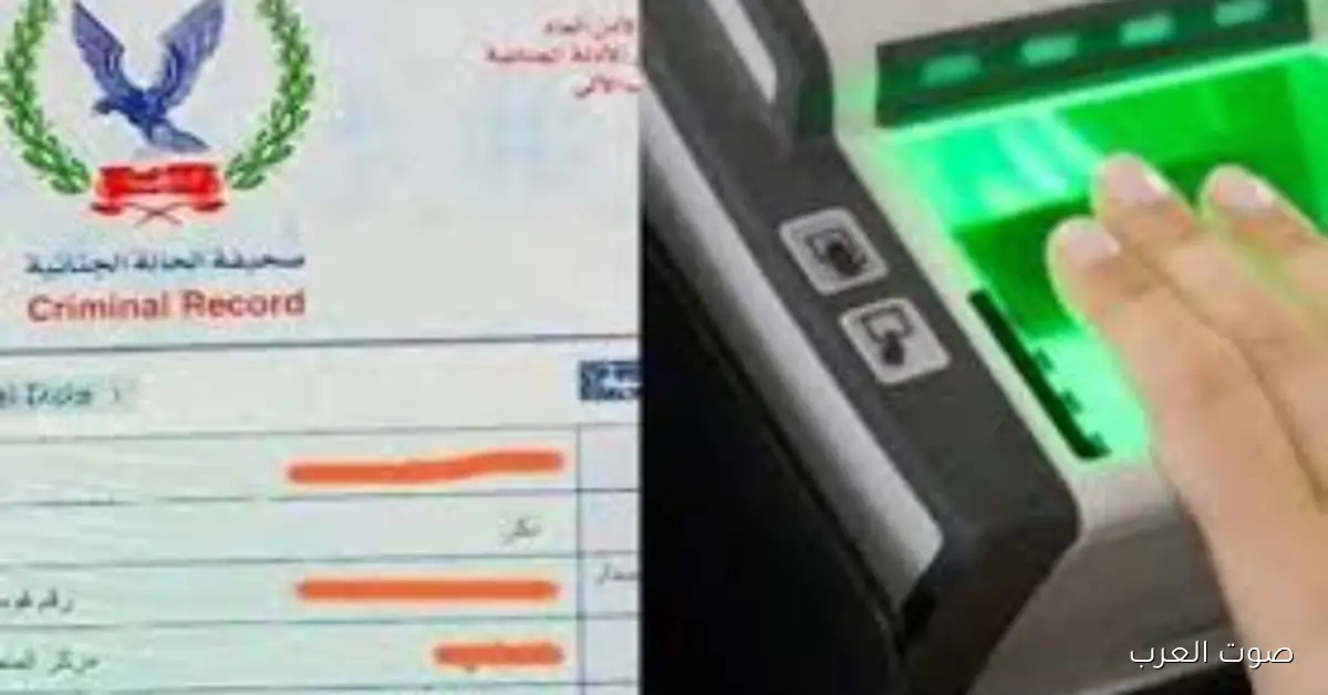 لو ناوي تقدم على شغل.. إزاي تستخرج الفيش الجنائي 2025