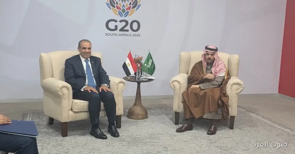 لقاء مهم بين مصر والسعودية في قمة العشرين | صور