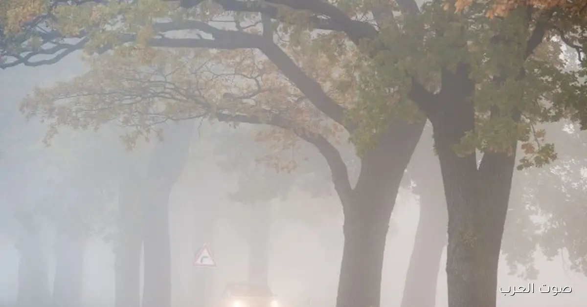 الأرصاد بتحذر سكان القاهرة والمناطق المجاورة من حالة جوية جديدة