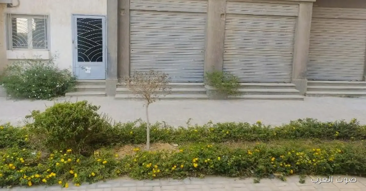 فرص استثمارية جديدة في العبور في مزاد علني