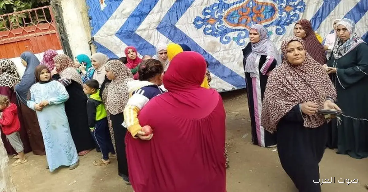 انتخابات النواب 2025.. الستات في المقدمة بلجان شبين القناطر بالقليوبية