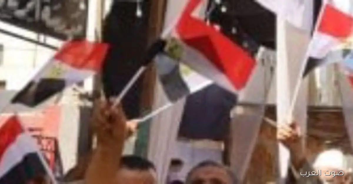 إغلاق اللجان الانتخابية في دار السلام عشان يرتاحوا في القاهرة