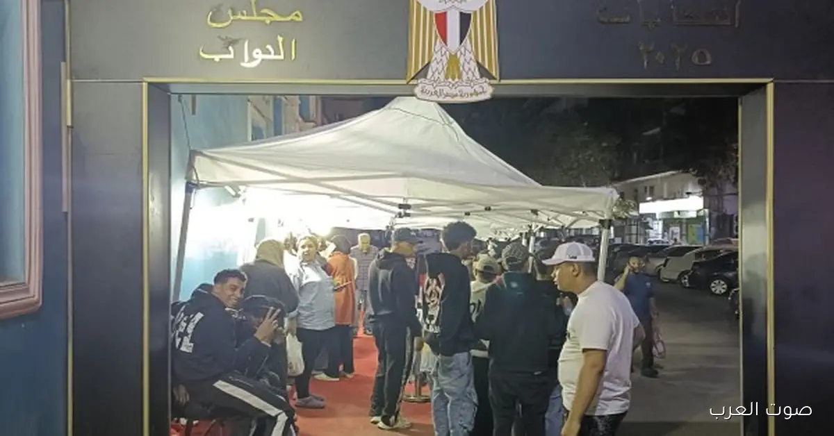 شباب مصر في الطوابير أمام لجان وسط البلد على أنغام الأغاني الوطنية خلال انتخابات مجلس النواب
