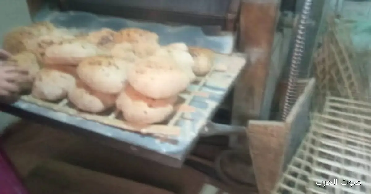 تموين القليوبية يكتشف 10 مخالفات في حملة مفاجئة على مخابز الخانكة