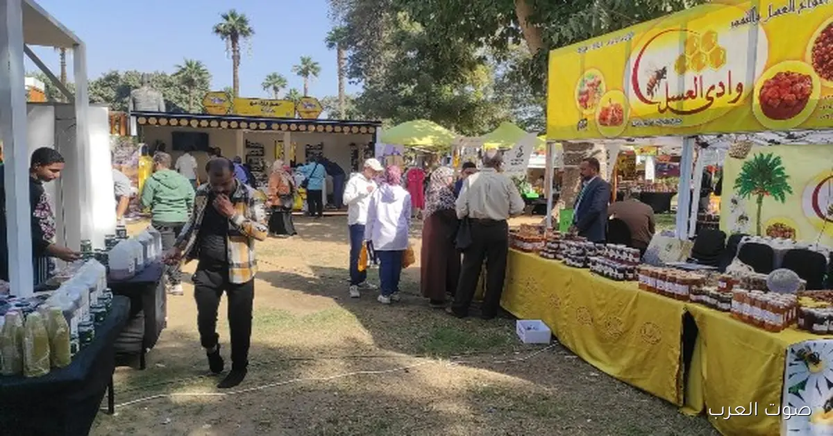 عسل مصري بمهرجانه الثامن: جودة عالمية وتخفيضات لحد 30%