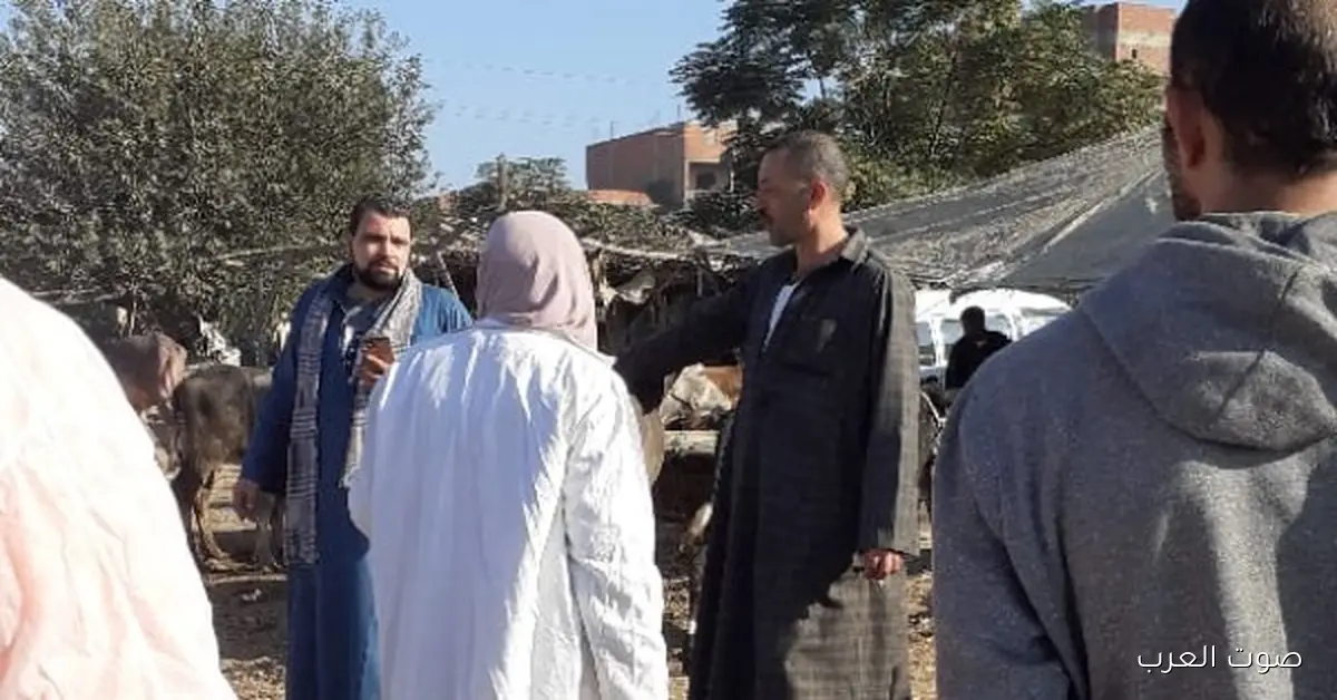 الزراعة: 7.5 مليون جرعة لتحصين الماشية من الحمى القلاعية وحمى الوادي المتصدع