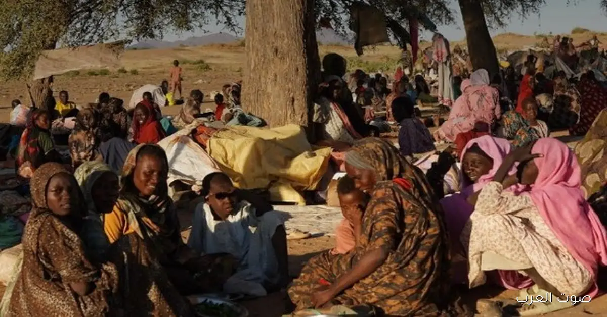 يونيسف: 100 ألف شخص هربوا من مدينة الفاشر في السودان من آخر أكتوبر