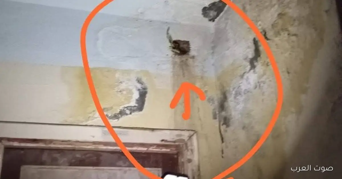 مياه الصرف بتغرق جدران مدرسة في حلمية الزيتون وأهالي الطلبة بيستغيثوا بوزير التعليم