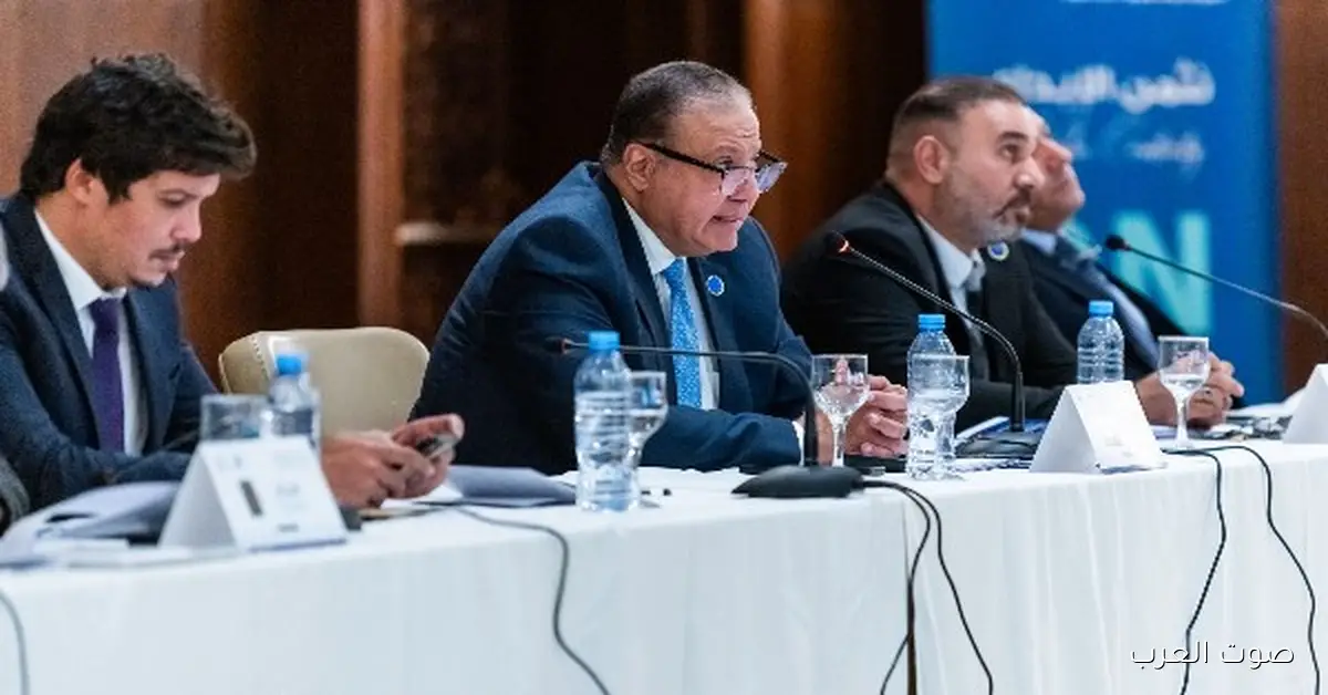 هشام عزمي: مصر مصممة على حماية حقوق المؤلف ودعم الإبداع