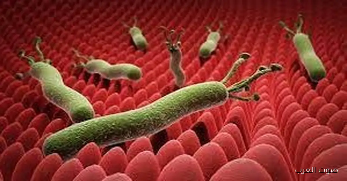 حظر دواء جديد وسحب شحنة أشهر علاج لجرثومة المعدة وارتجاع المريء