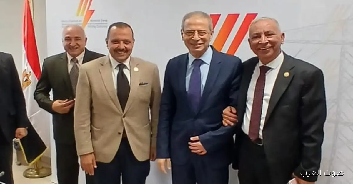 2 مليار جنيه لمشروع شركة القناة لتوزيع الكهرباء