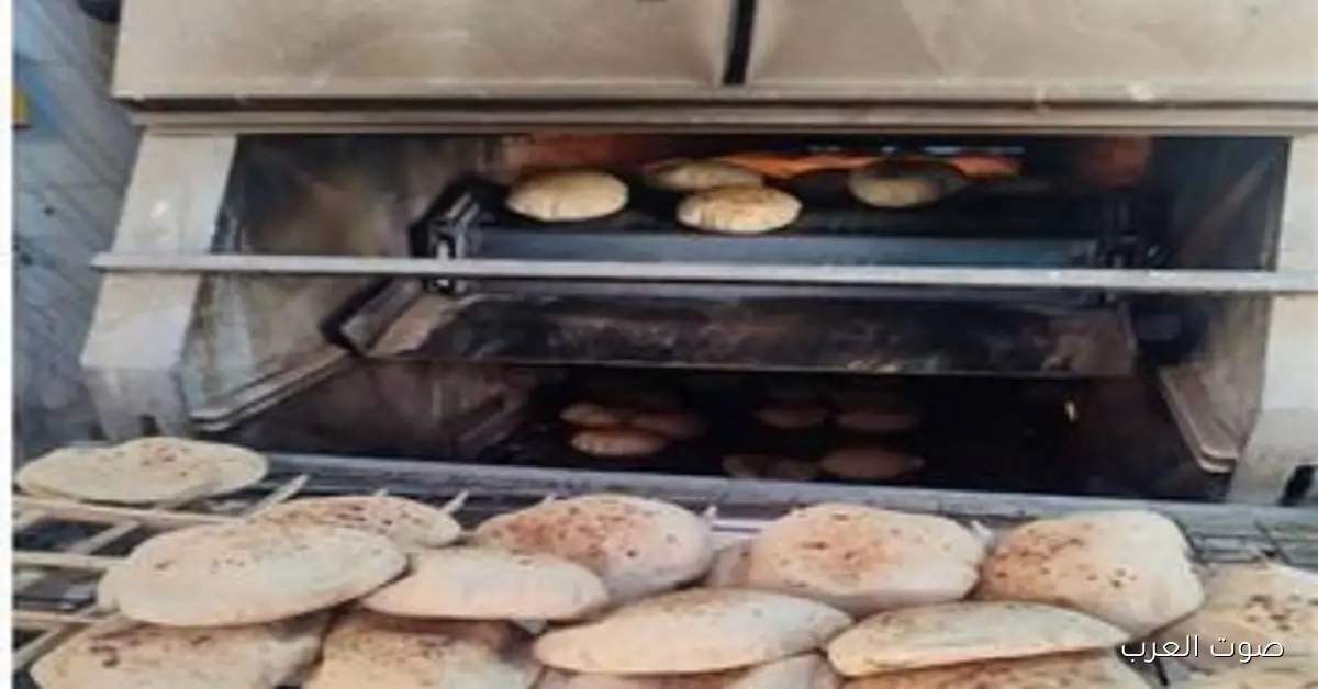 75 مخالفة في يوم واحد.. حملات تموين القليوبية تكشف تلاعب كبير في المخابز والأسواق