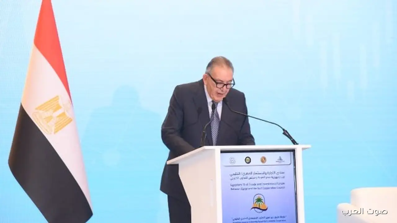 أحمد الوكيل: مصر مليانة فرص حلوة وجاذبة للاستثمارات الخليجية في كل المجالات