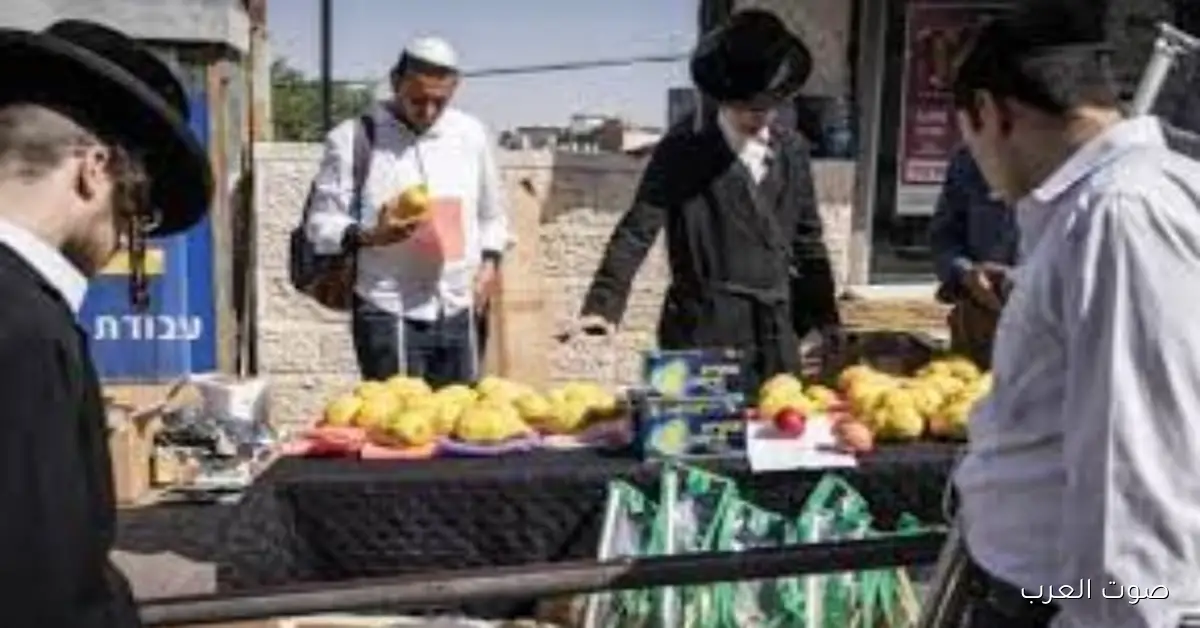 أسعار الأكل والفواكه والخضار بتزيد الأزمة الغذائية في إسرائيل