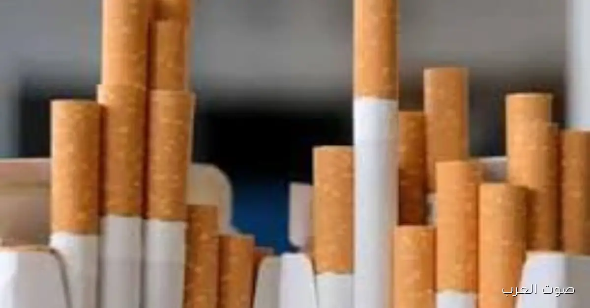 أسعار السجائر النهارده 22 نوفمبر 2025 .. المحلي والمستورد والتبغ المسخن