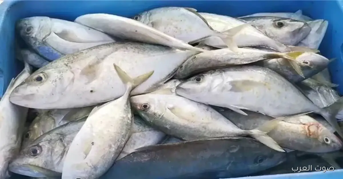 أسعار السمك والمأكولات البحرية النهارده السبت 8 نوفمبر 2025