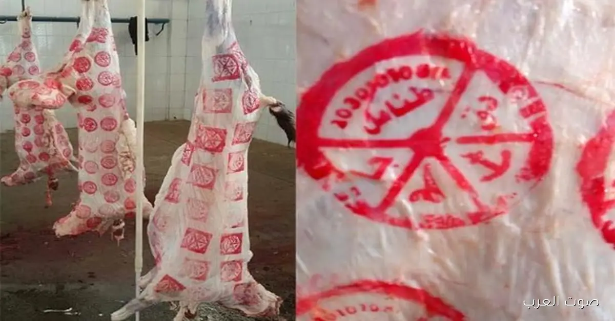 أسعار اللحوم نزلت في الأسواق.. الفلاحين يوضحوا الأرقام