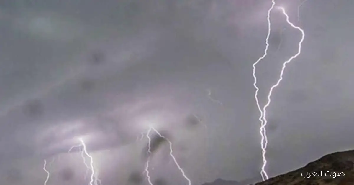 أمطار ورياح.. جو شتوي في طقس السبت بكرة