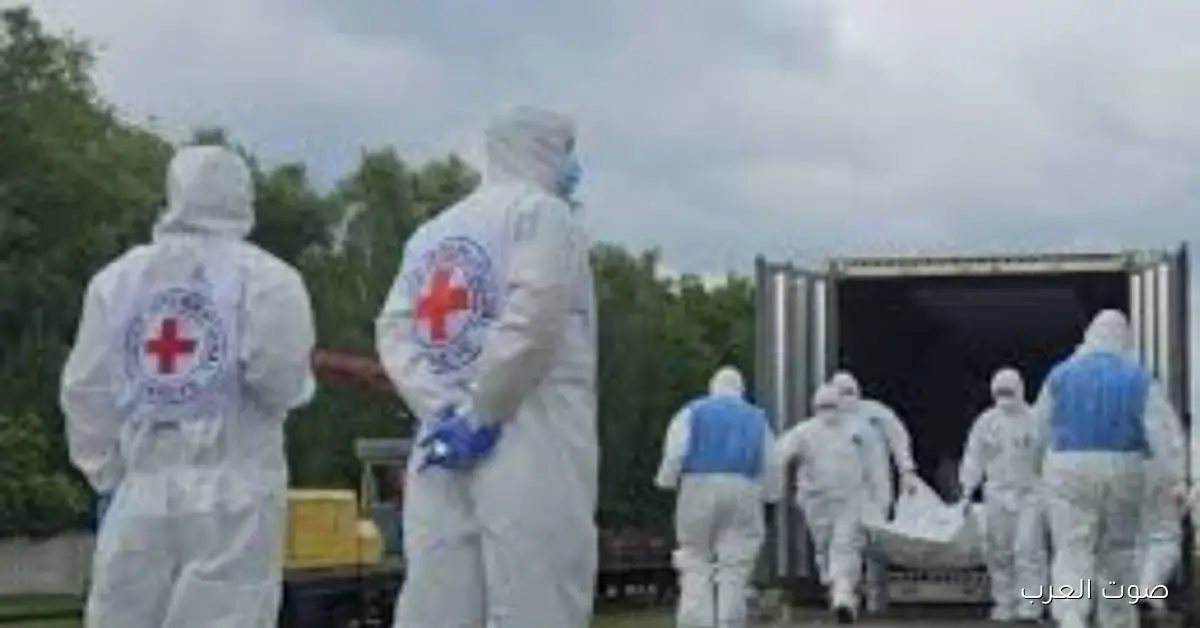 أوكرانيا بتسترد 1000 جثمان من ضحايا الحرب مع روسيا