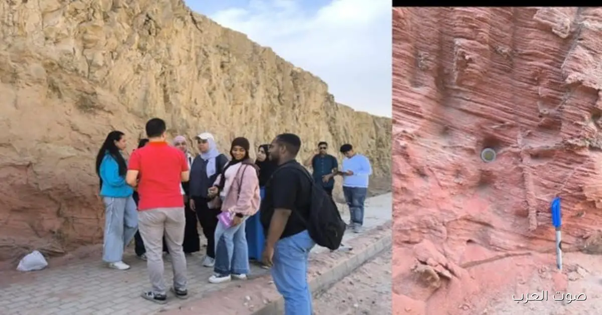 أول رحلة لطلاب علوم القاهرة الأهلية علشان يكتشفوا التربة والصخور