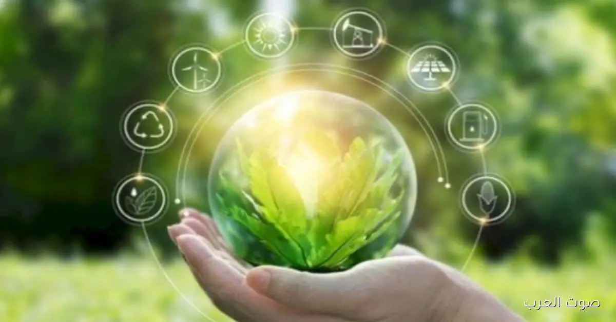 إزاي الشركات الكبيرة ممكن تستفيد من تقنية المكثفات المصرية عشان تقلل فواتير الطاقة؟