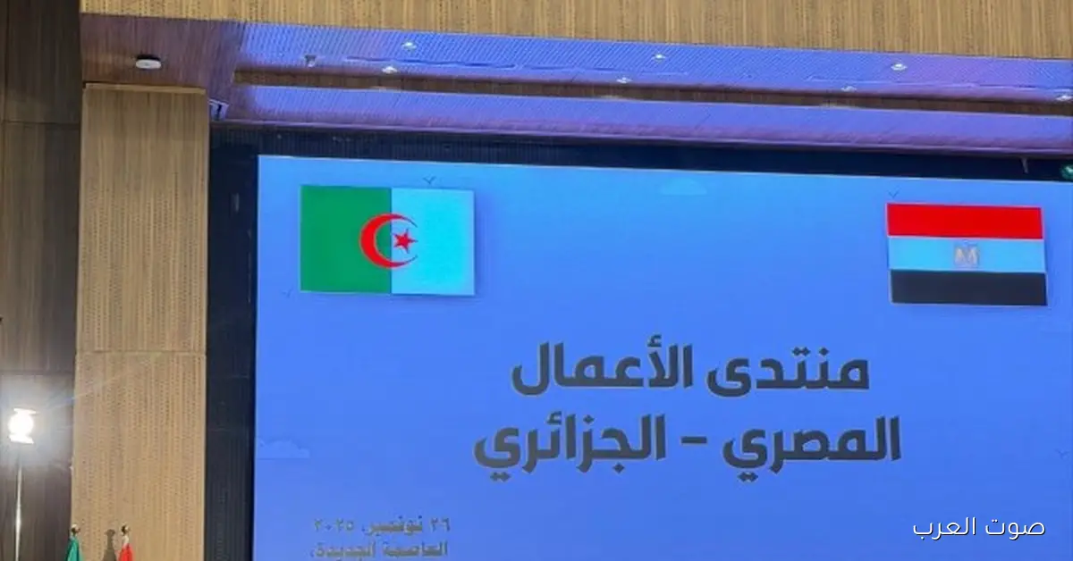 اتحاد الغرف: الشراكة بين مصر والجزائر مهمة عشان نطور التنمية ونزود الاستثمار مع بعض