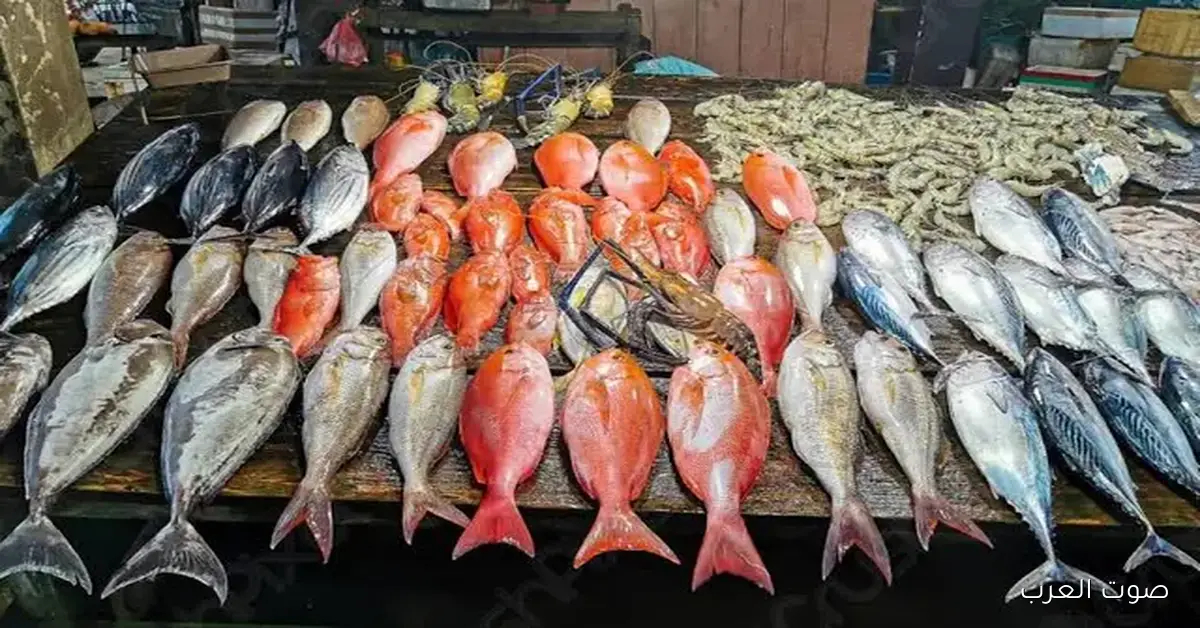 بوري وبطلي .. اسعار السمك اليوم الثلاثاء 2025/11/25 في سوق العبور