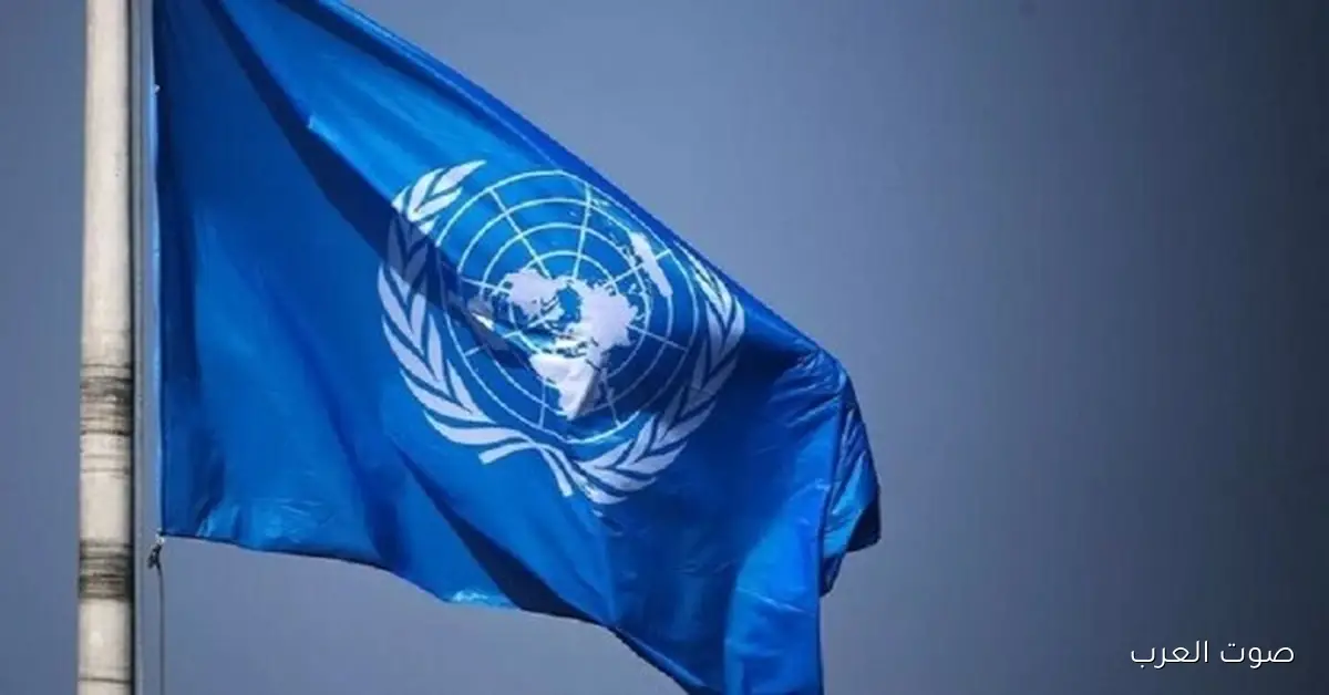 الأمم المتحدة: جهد عالمي لمواجهة الاتجار غير القانوني بالآثار