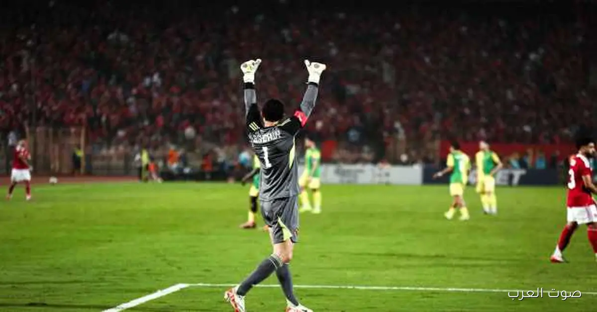 الأهلي بيتابع حالة الشناوي مع المنتخب قبلي أمم إفريقيا