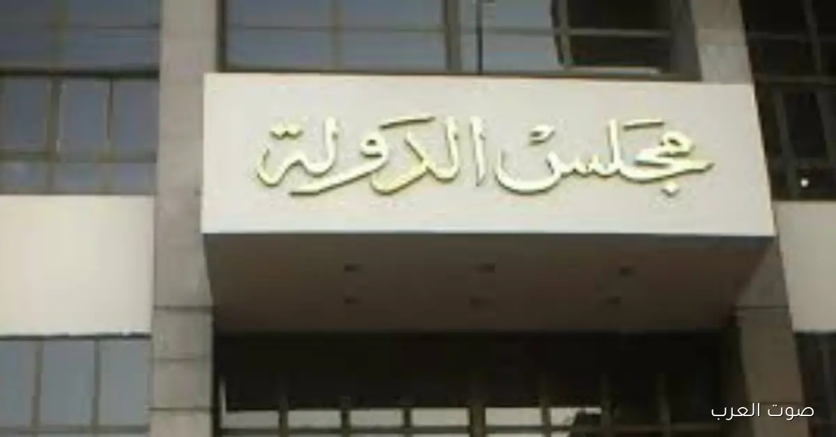 «الإدارية العليا» تلغي 29 دائرة انتخابية في المرحلة الأولى من انتخابات مجلس النواب 2025