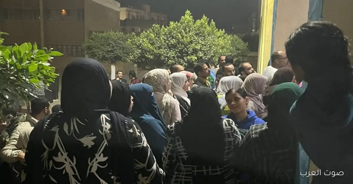 الإدارية العليا تلغي نتيجة انتخابات مجلس النواب في إدفو بأسوان