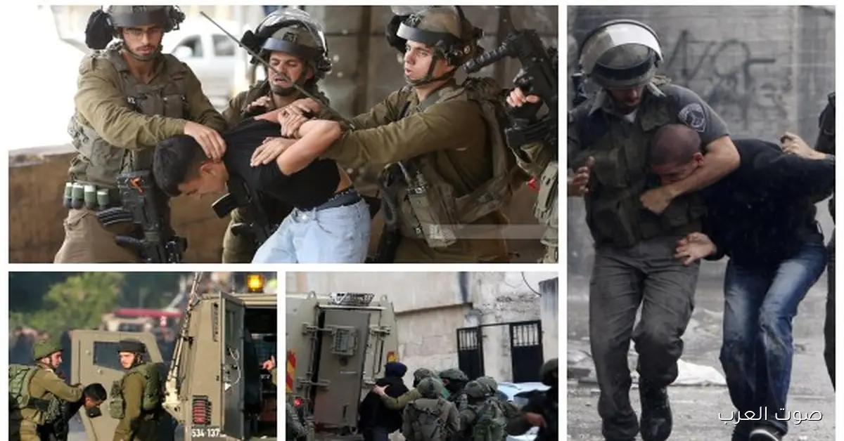 الاحتلال الإسرائيلي يعتقل 50 فلسطيني في الضفة الغربية