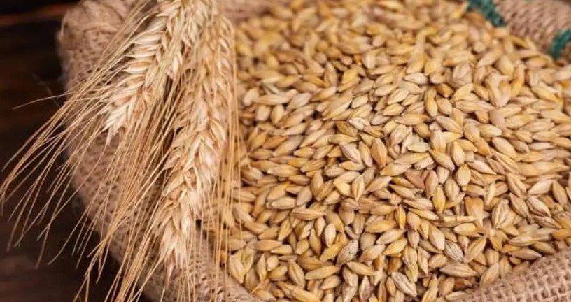 سعر طن الأرز الشعير اليوم السبت 29 نوفمبر 2025 في مصر داخل الأسواق والمحلات التجارية