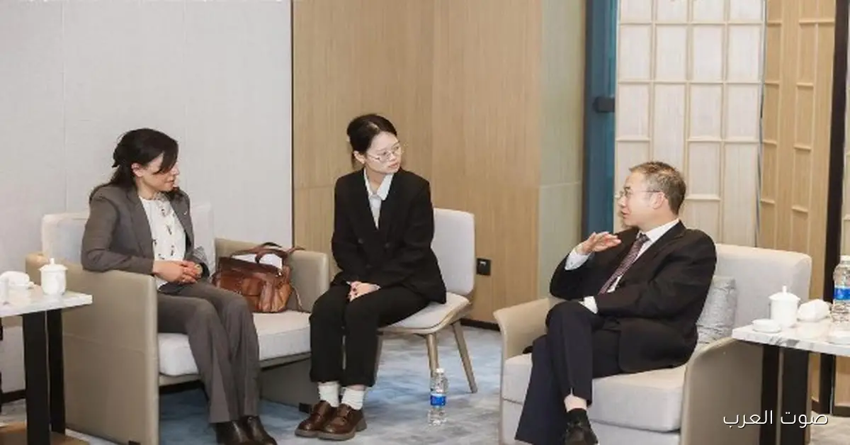 التجارة المصرية بتدعو شركات تشيجيانغ الصينية للاستثمار في مصر