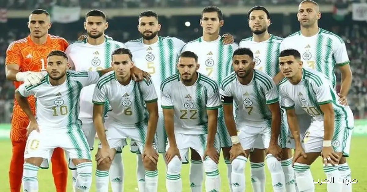 التلفزيون الجزائري هيعرض 15 مباراة في كأس أمم أفريقيا بالمغرب