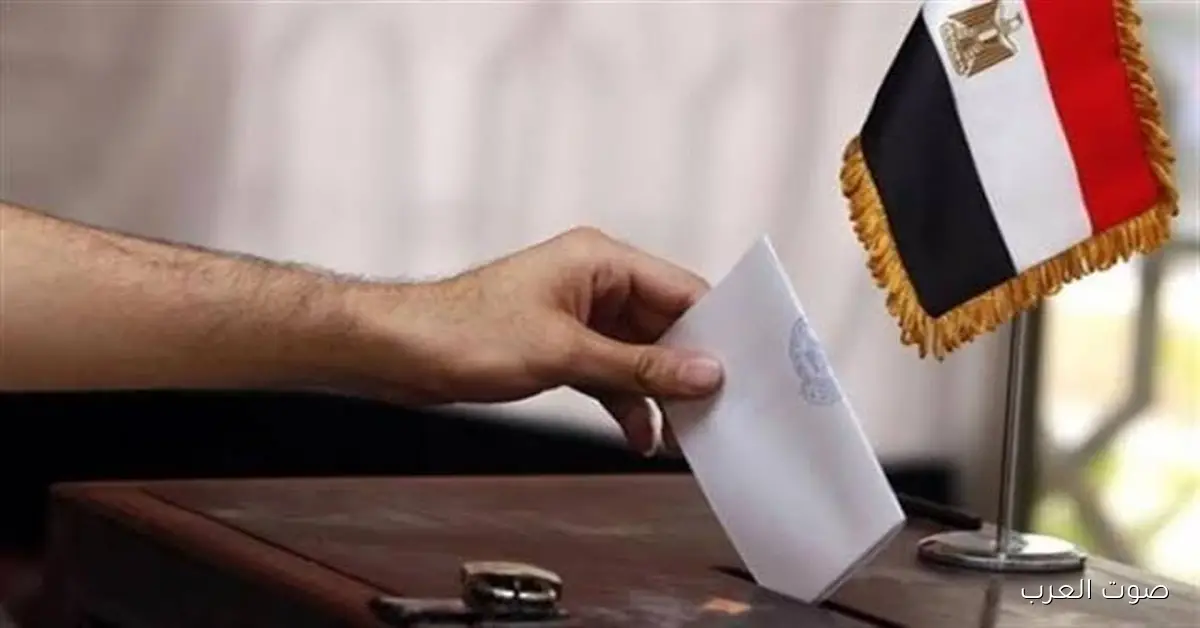 الجالية المصرية في الكويت: كل الفئات العمرية متفاعلة مع انتخابات النواب