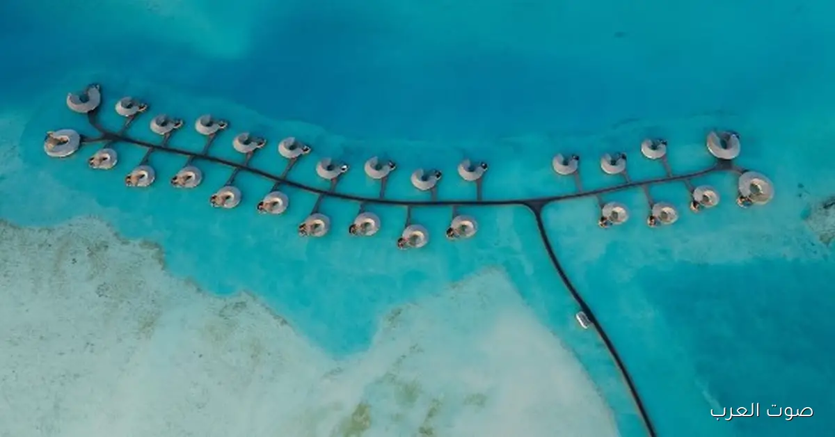 الذكاء الاصطناعي بيغير طريقة حجز الرحلات السياحية في مصر