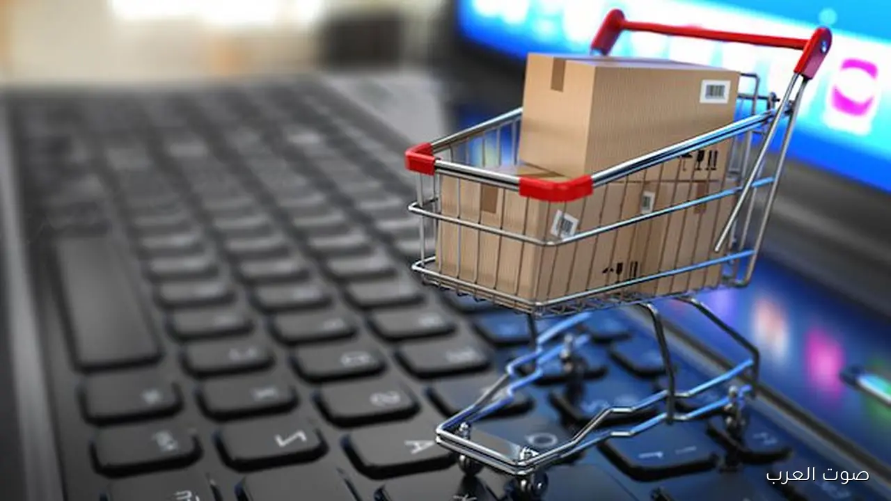 الرقابة المالية: 47.4 مليار جنيه لشراء سلع استهلاكية في 7 شهور