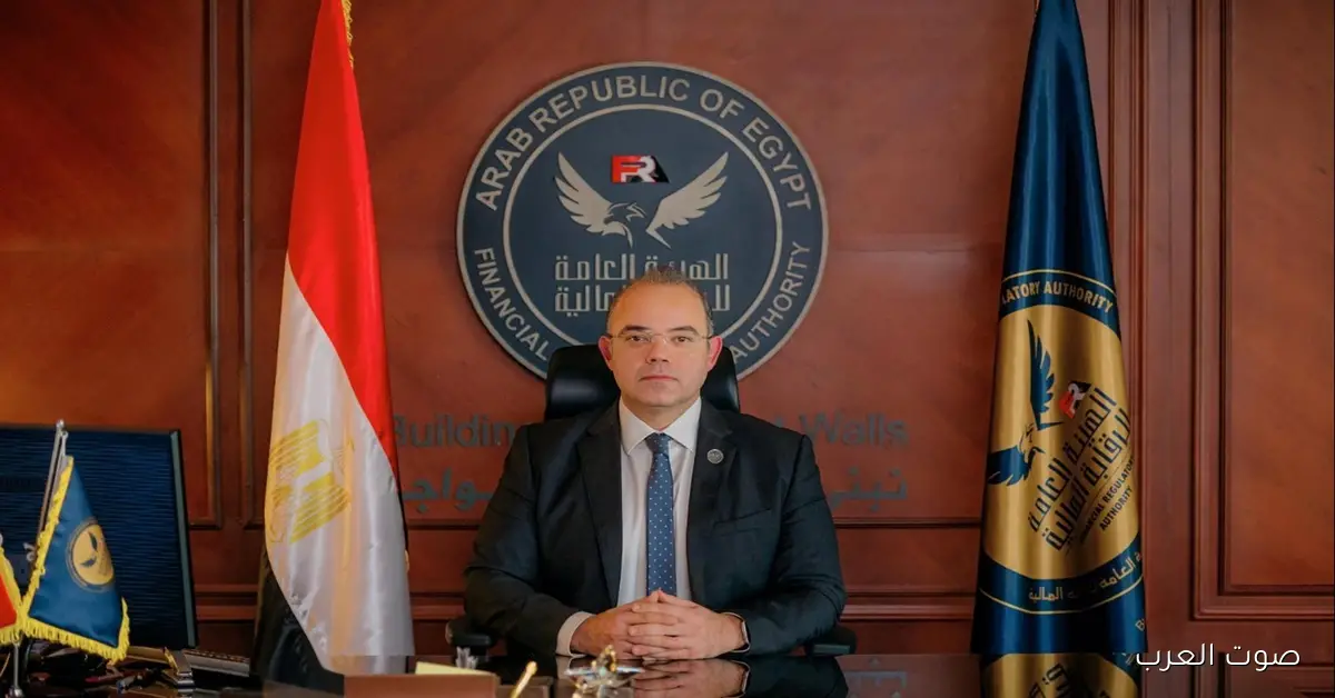 الرقابة المالية: 954 مليار جنيه تمويلات من الجهات التابعة لها في 9 شهور