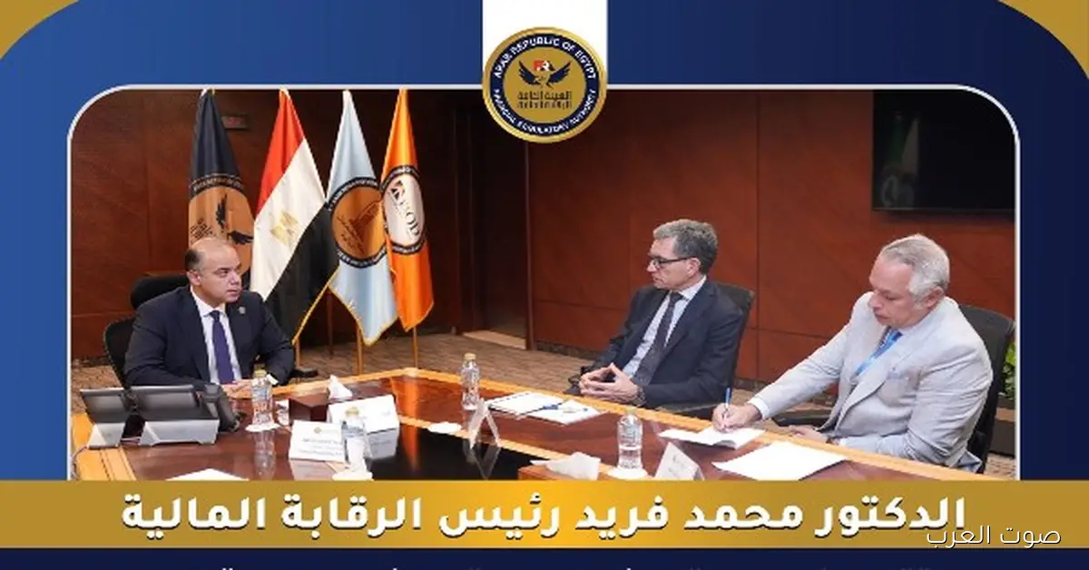 الرقابة المالية: هتصدر مجموعة قرارات عن الشورت سيلنج قبل نهاية السنة