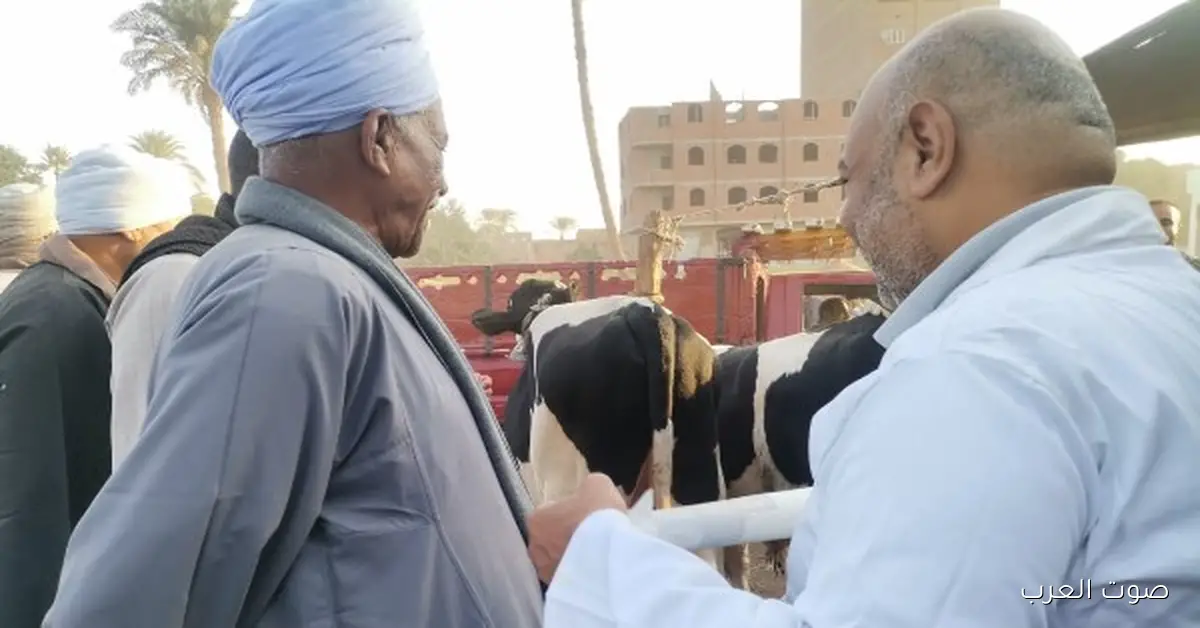 الزراعة: حملات كبيرة للتفتيش على أسواق الماشية في المحافظات لمتابعة الوضع الوبائي