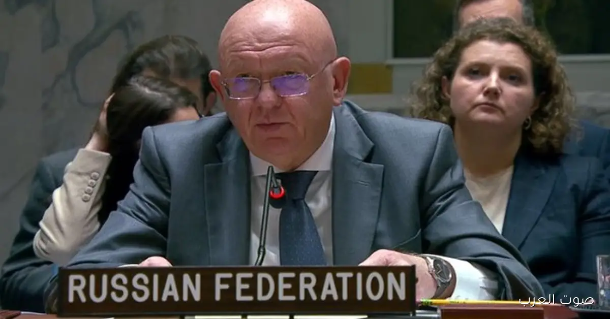 السفير الروسي في مجلس الأمن: مش هنوافق على قرار من غير حل الدولتين