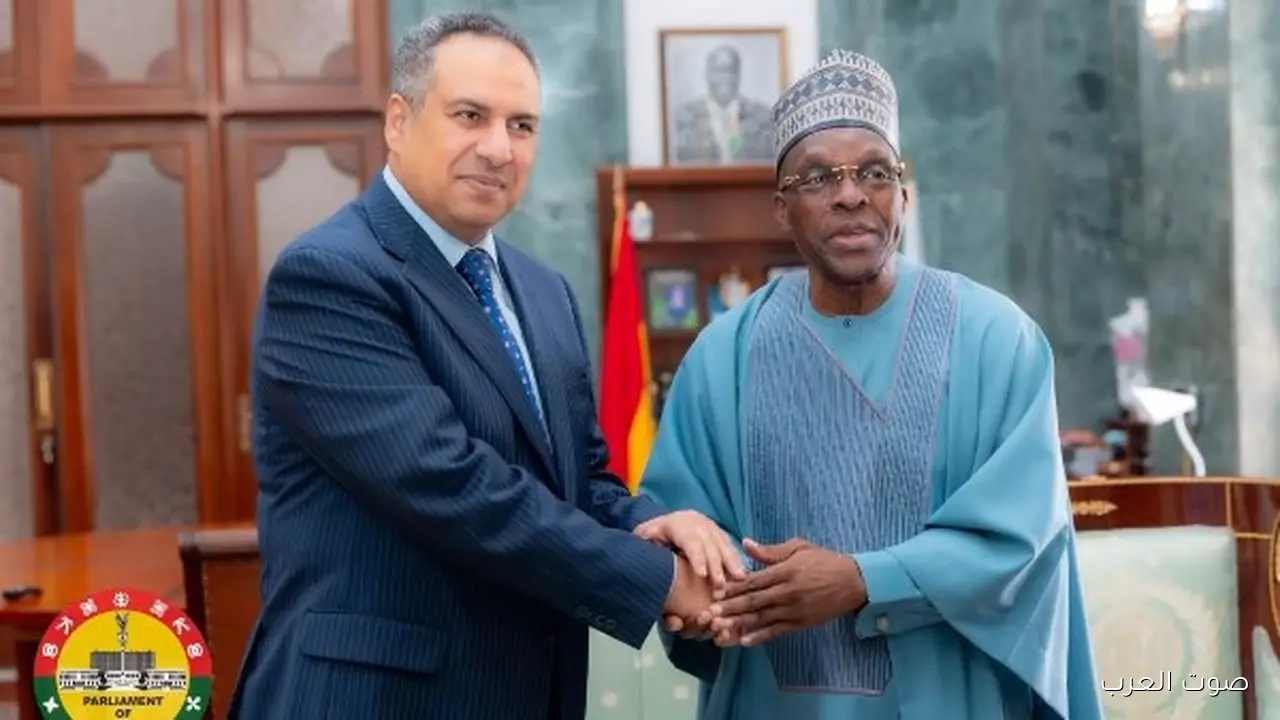 السفير المصري في أكرا يتحدث مع رئيس البرلمان الغاني عن تقوية العلاقات البرلمانية بين مصر وغانا