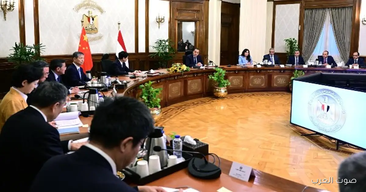 الصين بتدعو مصر تشارك في مبادرة الإعفاء الجمركي لصادرات 53 دولة أفريقية